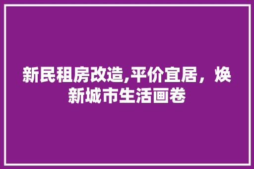 新民租房改造,平价宜居，焕新城市生活画卷 装修材料