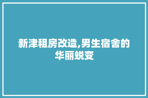 新津租房改造,男生宿舍的华丽蜕变