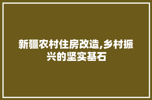 新疆农村住房改造,乡村振兴的坚实基石