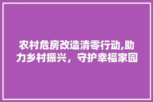 农村危房改造清零行动,助力乡村振兴，守护幸福家园