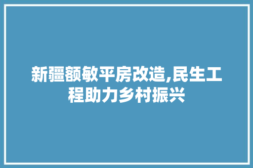 新疆额敏平房改造,民生工程助力乡村振兴 建筑设计
