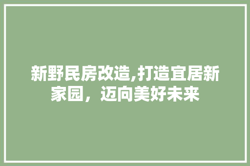新野民房改造,打造宜居新家园，迈向美好未来