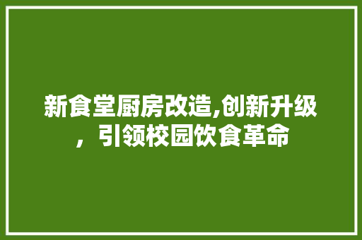 新食堂厨房改造,创新升级，引领校园饮食革命 地面装修