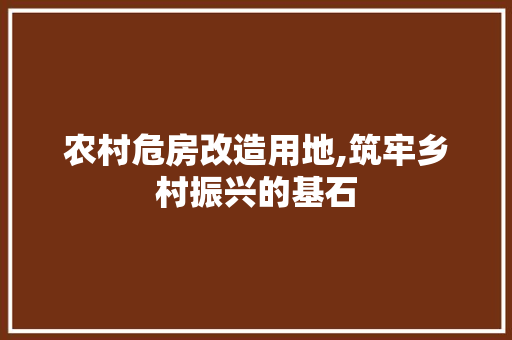 农村危房改造用地,筑牢乡村振兴的基石 隔断设计
