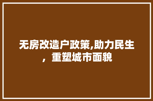 无房改造户政策,助力民生，重塑城市面貌