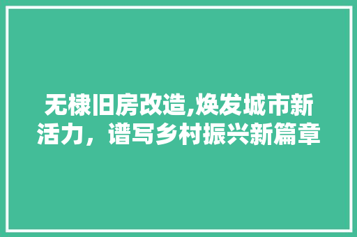 无棣旧房改造,焕发城市新活力，谱写乡村振兴新篇章