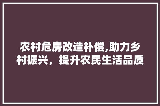 农村危房改造补偿,助力乡村振兴，提升农民生活品质