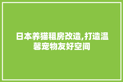 日本养猫租房改造,打造温馨宠物友好空间