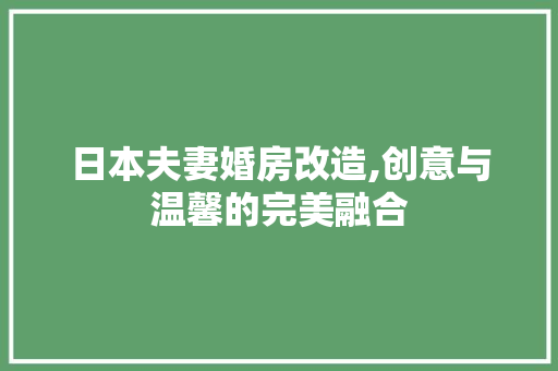 日本夫妻婚房改造,创意与温馨的完美融合 墙面装饰