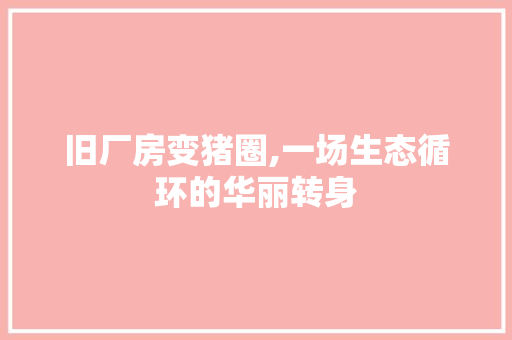旧厂房变猪圈,一场生态循环的华丽转身