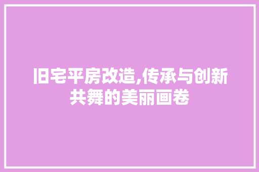 旧宅平房改造,传承与创新共舞的美丽画卷 景观设计