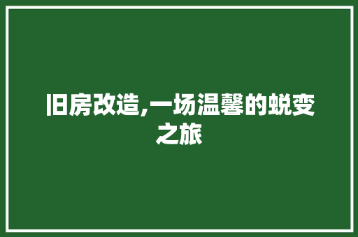 旧房改造,一场温馨的蜕变之旅 墙面装饰