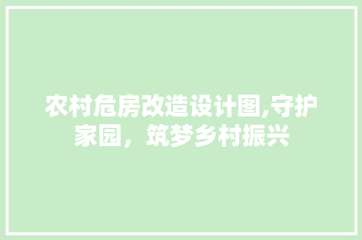 农村危房改造设计图,守护家园，筑梦乡村振兴