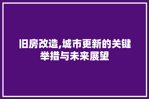 旧房改造,城市更新的关键举措与未来展望