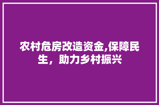 农村危房改造资金,保障民生，助力乡村振兴