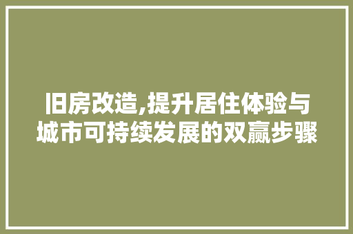 旧房改造,提升居住体验与城市可持续发展的双赢步骤 庭院装修