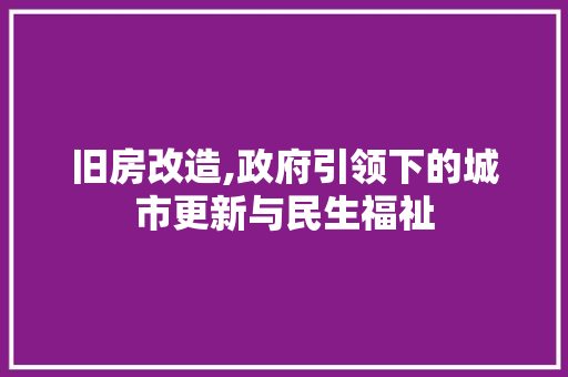 旧房改造,政府引领下的城市更新与民生福祉