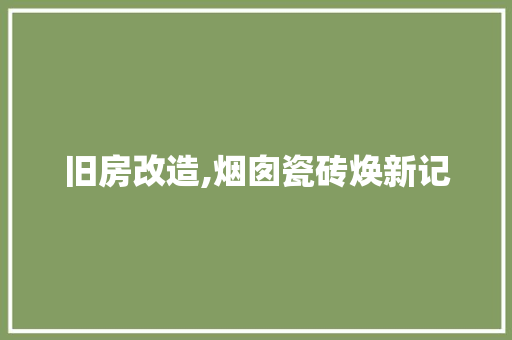 旧房改造,烟囱瓷砖焕新记 地面装修
