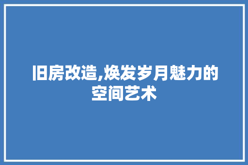 旧房改造,焕发岁月魅力的空间艺术