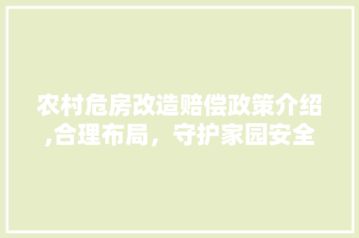 农村危房改造赔偿政策介绍,合理布局，守护家园安全