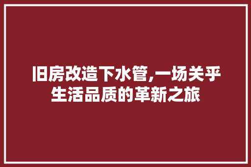 旧房改造下水管,一场关乎生活品质的革新之旅 景观设计 旧房改造下水管,一场关乎生活品质的革新之旅 景观设计