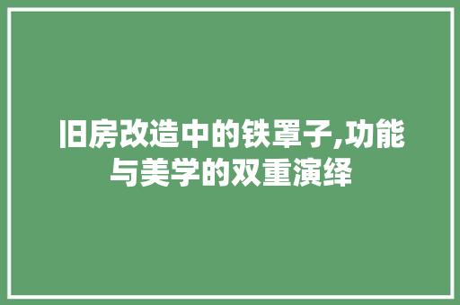 旧房改造中的铁罩子,功能与美学的双重演绎 装修材料