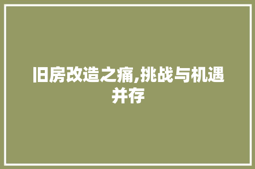 旧房改造之痛,挑战与机遇并存