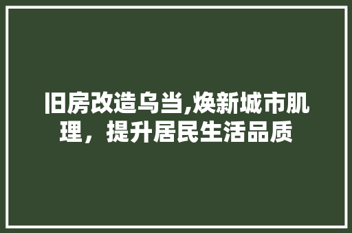 旧房改造乌当,焕新城市肌理，提升居民生活品质 地面装修