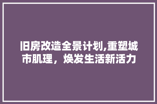 旧房改造全景计划,重塑城市肌理，焕发生活新活力 建筑设计