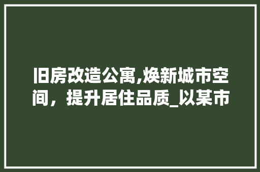 旧房改造公寓,焕新城市空间，提升居住品质_以某市为例 装修材料