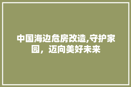 中国海边危房改造,守护家园，迈向美好未来 地面装修
