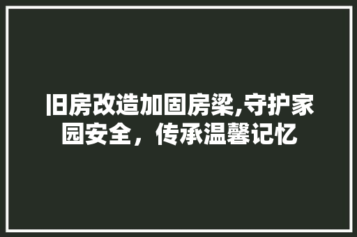 旧房改造加固房梁,守护家园安全，传承温馨记忆 庭院装修