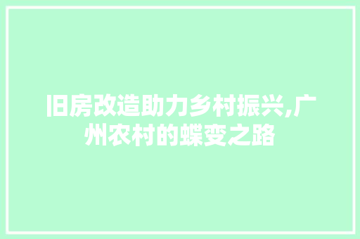 旧房改造助力乡村振兴,广州农村的蝶变之路 景观设计
