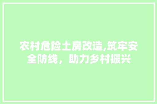 农村危险土房改造,筑牢安全防线，助力乡村振兴