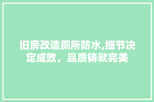 旧房改造厕所防水,细节决定成败，品质铸就完美