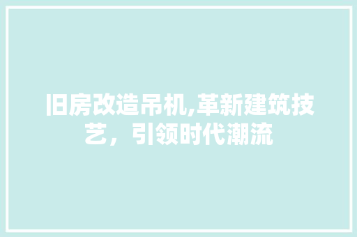 旧房改造吊机,革新建筑技艺，引领时代潮流