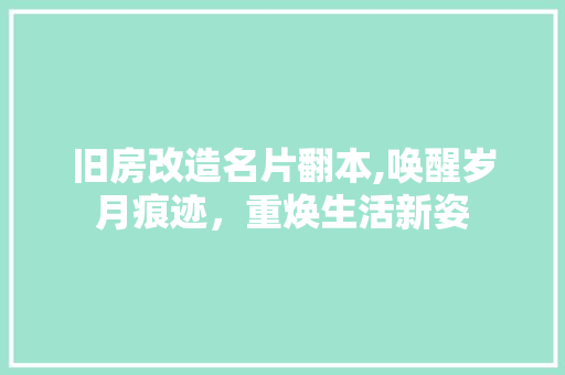 旧房改造名片翻本,唤醒岁月痕迹，重焕生活新姿 地面装修