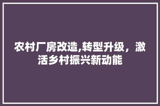 农村厂房改造,转型升级，激活乡村振兴新动能