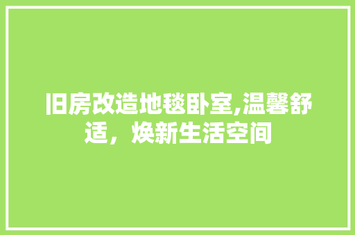 旧房改造地毯卧室,温馨舒适，焕新生活空间