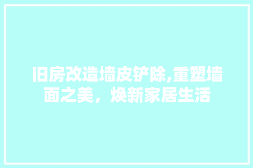 旧房改造墙皮铲除,重塑墙面之美，焕新家居生活 庭院装修