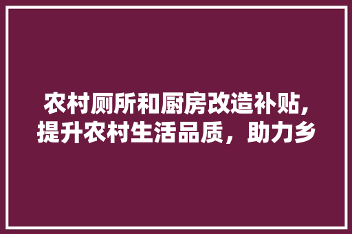 农村厕所和厨房改造补贴,提升农村生活品质，助力乡村振兴 墙面装饰