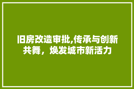 旧房改造审批,传承与创新共舞，焕发城市新活力 地面装修