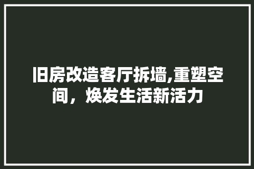 旧房改造客厅拆墙,重塑空间，焕发生活新活力
