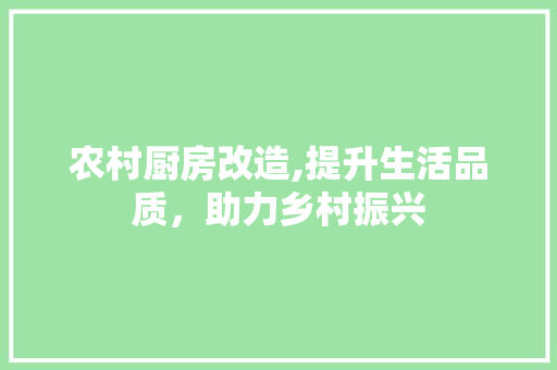 农村厨房改造,提升生活品质，助力乡村振兴