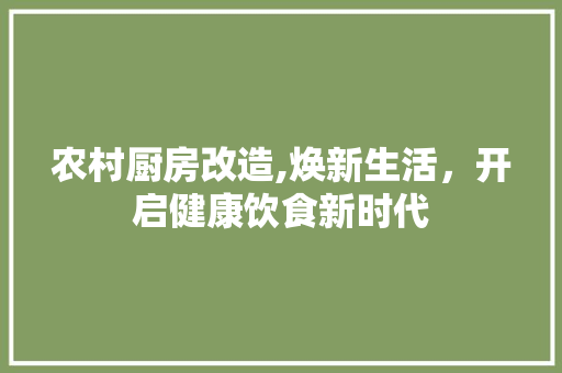农村厨房改造,焕新生活，开启健康饮食新时代