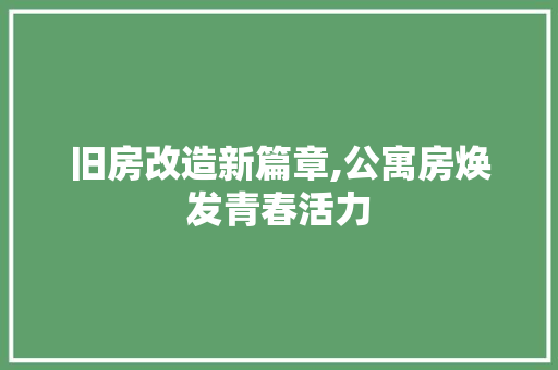 旧房改造新篇章,公寓房焕发青春活力 景观设计