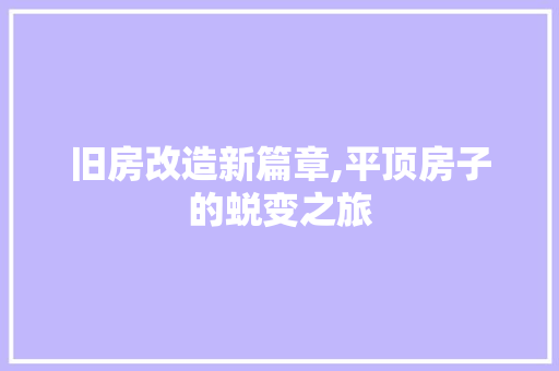 旧房改造新篇章,平顶房子的蜕变之旅