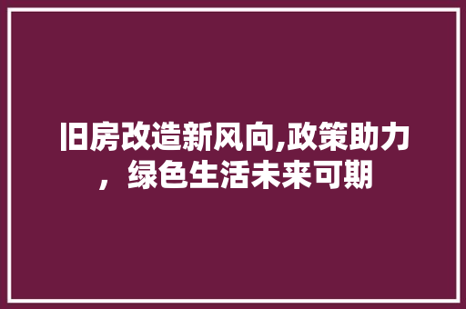 旧房改造新风向,政策助力,绿色生活未来可期 墙面装饰 旧房改造新风向,政策助力,绿色生活未来可期 墙面装饰