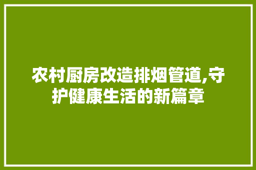 农村厨房改造排烟管道,守护健康生活的新篇章