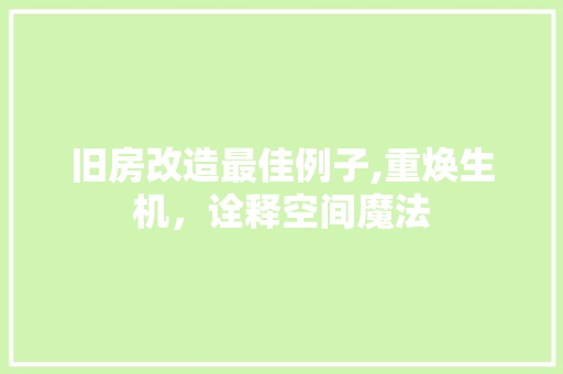 旧房改造最佳例子,重焕生机，诠释空间魔法